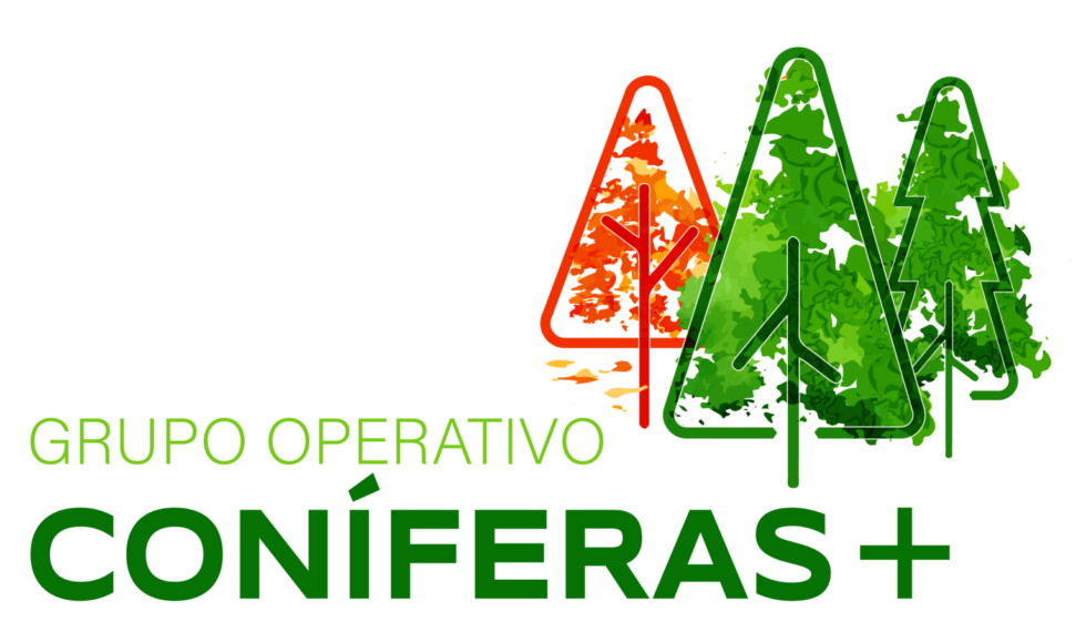 logo coníferas+