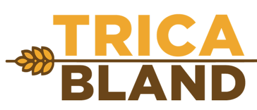 Logo GO Tricabland