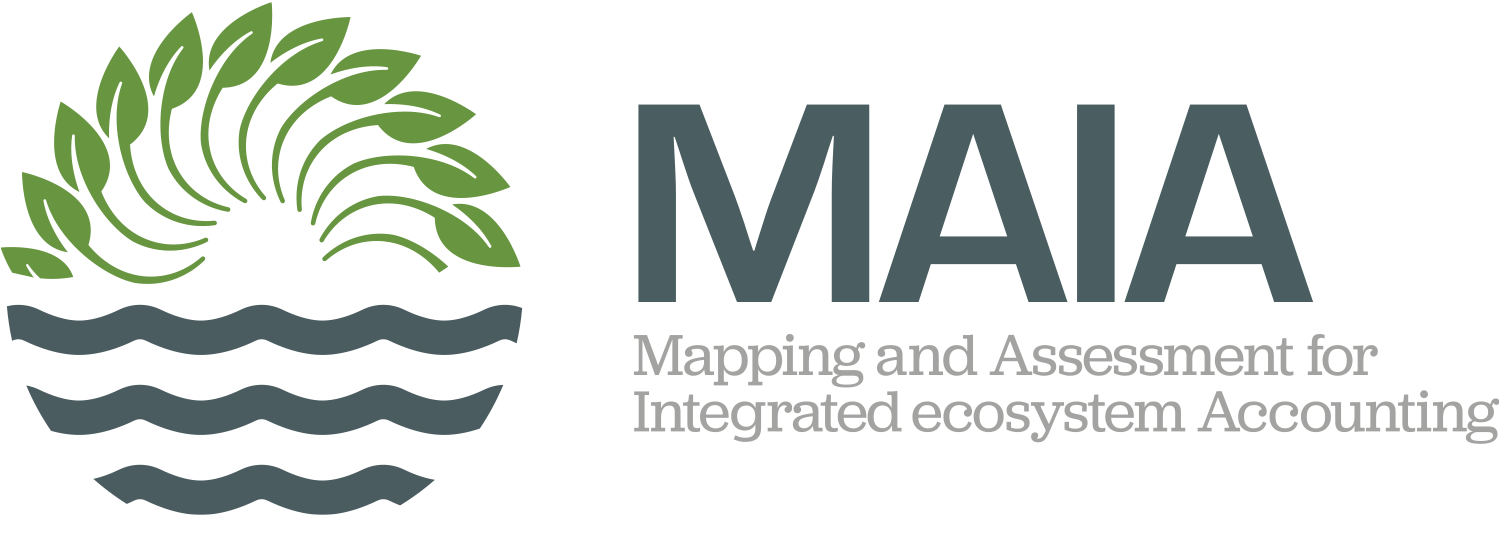 Logo MAIA