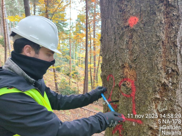 Détails des mesures en Navarre