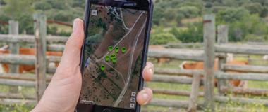 Idees inspiradores: tecnologia mòbil per prevenir atacs de llops