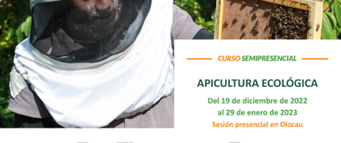 apicultura
