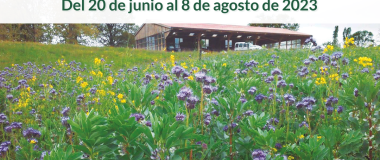 Curso online: Manejo de cubiertas vegetales en producción ecológica
