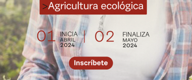 cartel do curso amfar