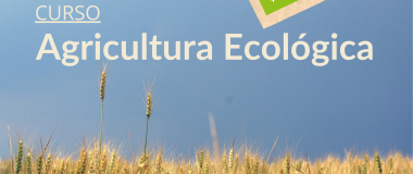 Affiche du cours d'agriculture biologique ECOVALIA