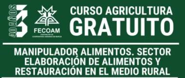 curso manipulador 