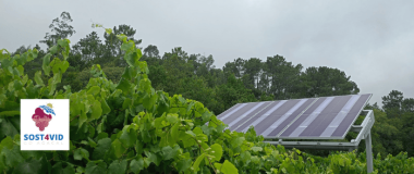 paneles solares en Bodega As Laxas