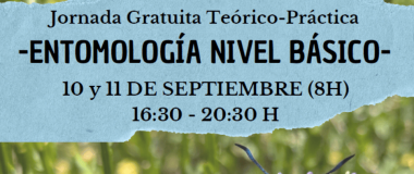 cartell del curs