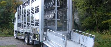 BENESTAR ANIMAL EN EL TRANSPORT. ONLINE