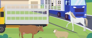 Bienestar animal en el transporte de animales vivos