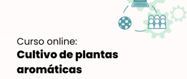 Curso en liña sobre o cultivo de plantas aromáticas