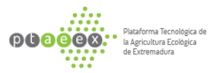 Logo PTAEEX