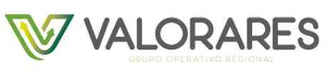 Logo GO Valorares