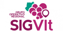 Logo GO sigvit