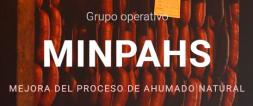 Logo GO Minpahs