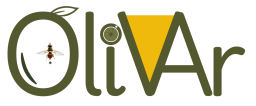 Logo GO Visión Artificial Olivar