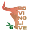 Logo GO Bovinolive