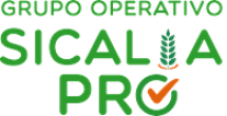Logo GO SICALIA PRO