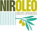 Logo GO NirOleo