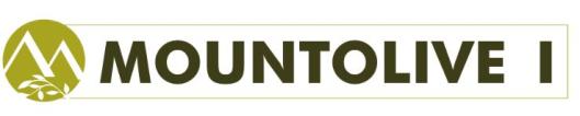 Logo GO Mountolive I