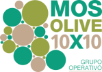 Logo GO Mosolive10x10
