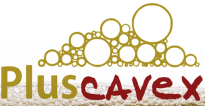 Logo PLUSCAVEX