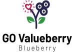 logo GO VALUEBERRY