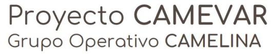 Logo GO CAMELINA
