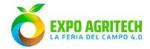 feria de campo