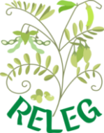 Logo Red RELEG