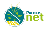 Logo PalmerNet