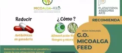 portada del vídeo