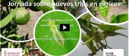 jornada nuevos trips en cítricos