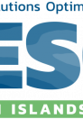 Logo nesoi